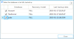 The form for choosing a database on which a backup will be created